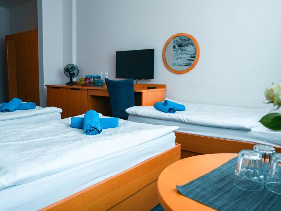 ledna-uc-iek_tr-ii-ulu-oz-ikovy-u_00001