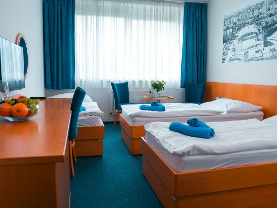 ledna-uc-iek_tr-ii-ulu-oz-ikovy-u_00002